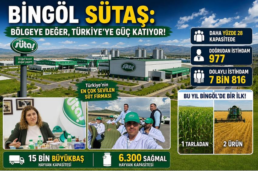 Kategori Haberleri