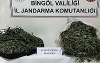 Yol Kontrölü