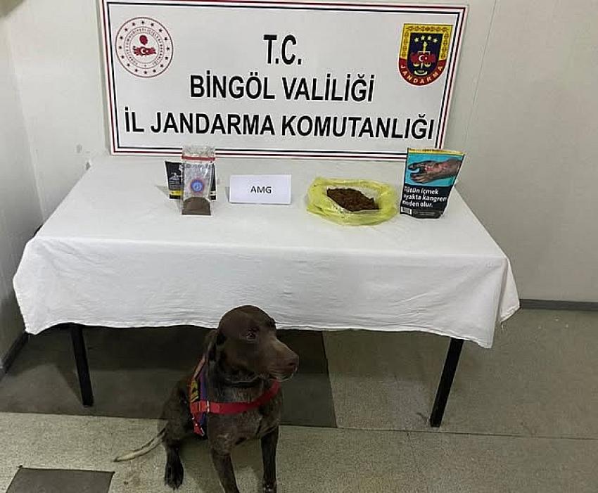 Bonzai Ele Geçirildi