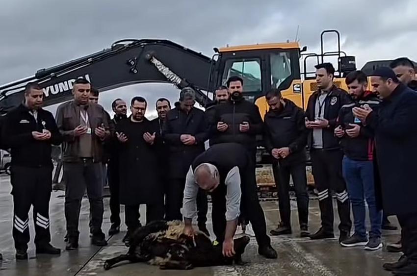 Havalimanı Yenileme Çalışması Başladı