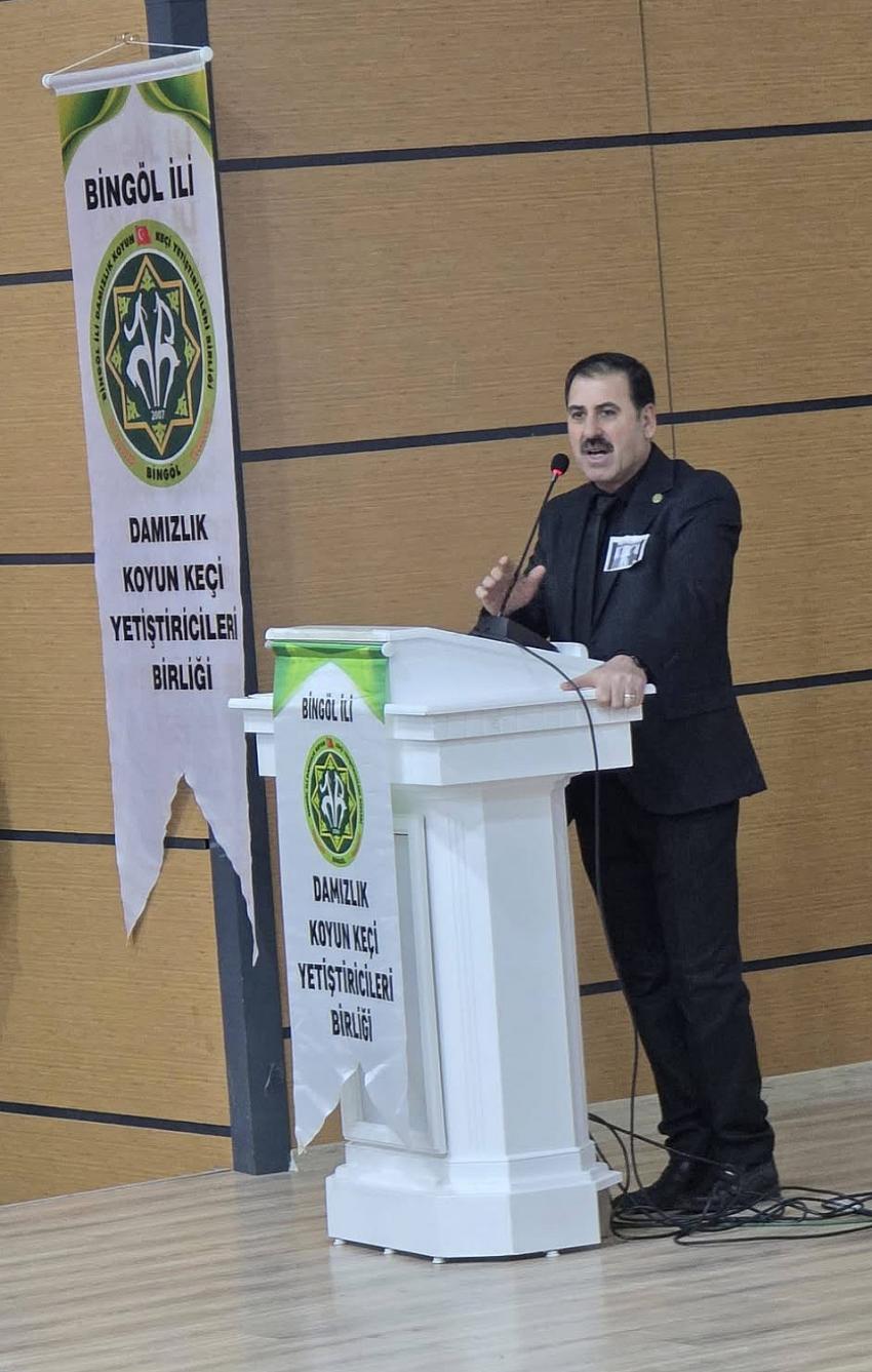 Ali Kaysadu Güven Tazeledi