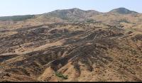 Genç Yayla’da Orman Yangını