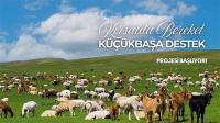 Küçükbaş Hayvan Desteği